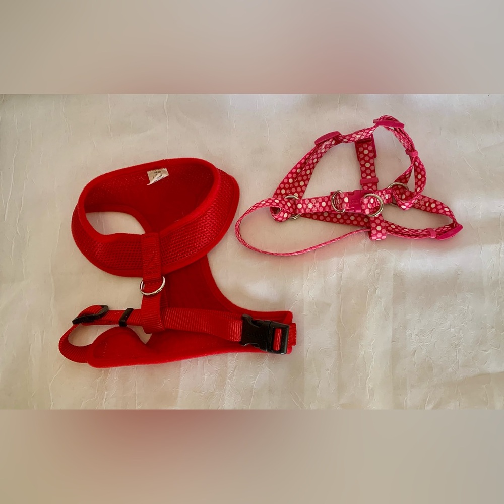 Coastal dog Harness Set of 2. Smalls